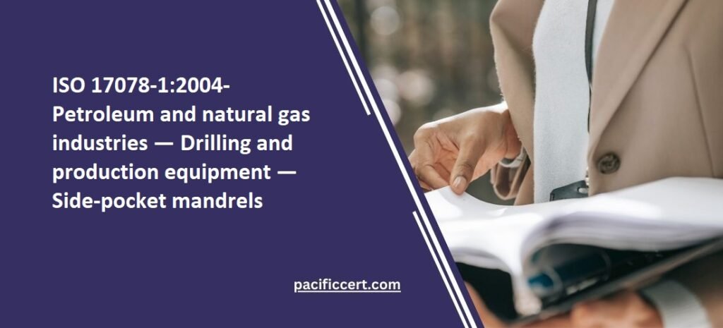 ISO 17078-1:2004-Petroleum and natural gas